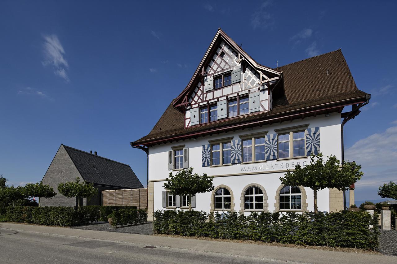 Mammertsberg Roggwil  Экстерьер фото